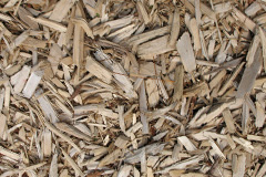 biomass boilers Trinafour